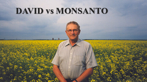 David contra Monsanto