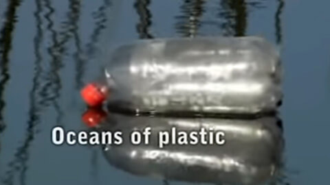 Oceános de plásticos