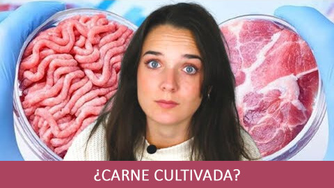 Carne artificial de laboratorio: ¿Adiós a la carne?