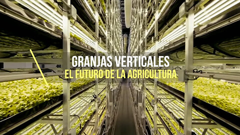 granjas-verticales-el-futuro-de-la-agricultura